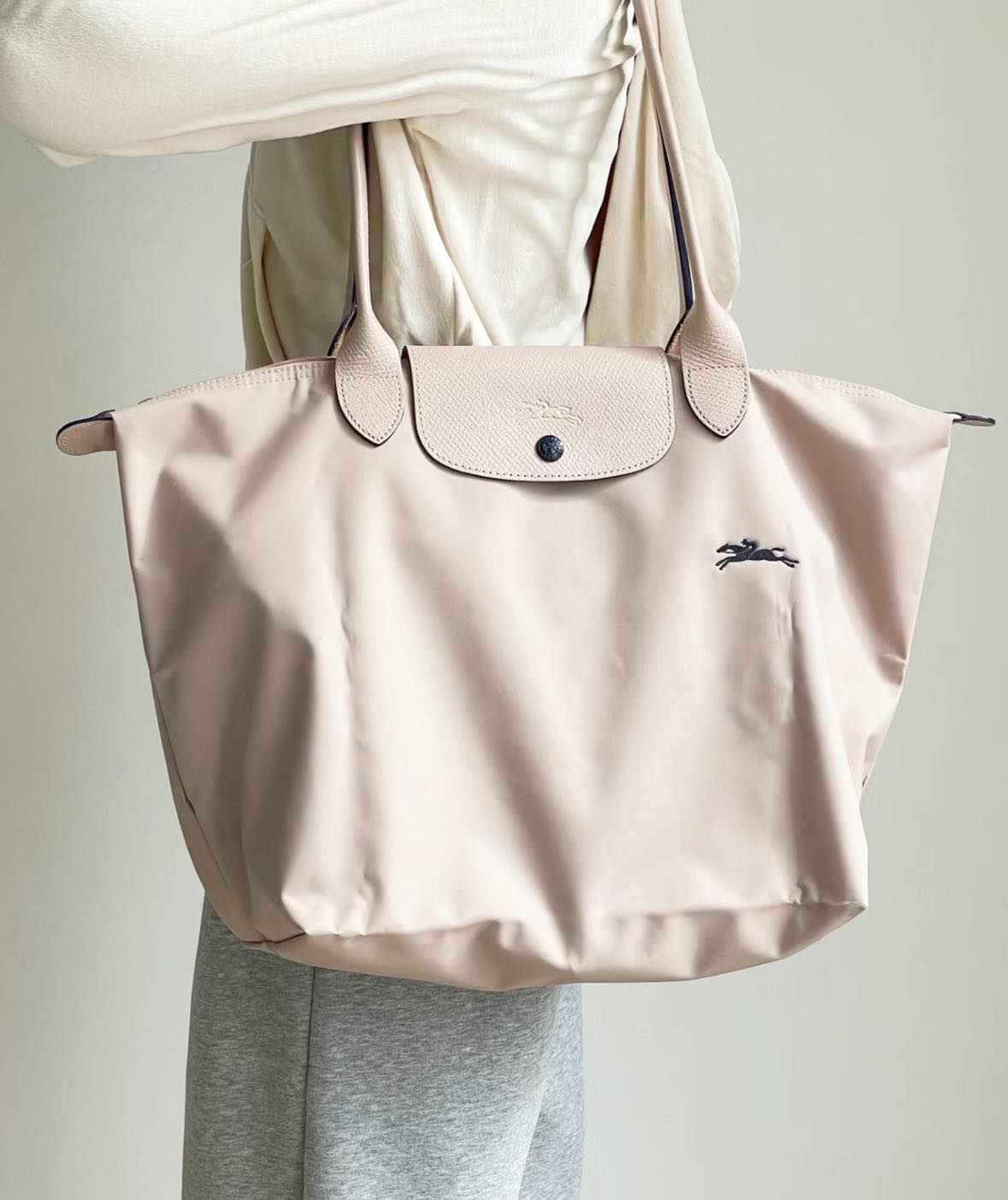 Longchamp 限定超靚色山茶花LE PLIAGE可上膊袋(團購) - jbh852