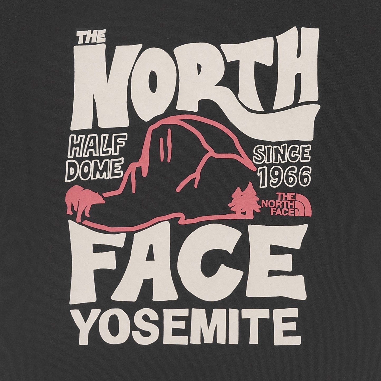 North Face撞色Slim cut Tee(團購) - jbh852