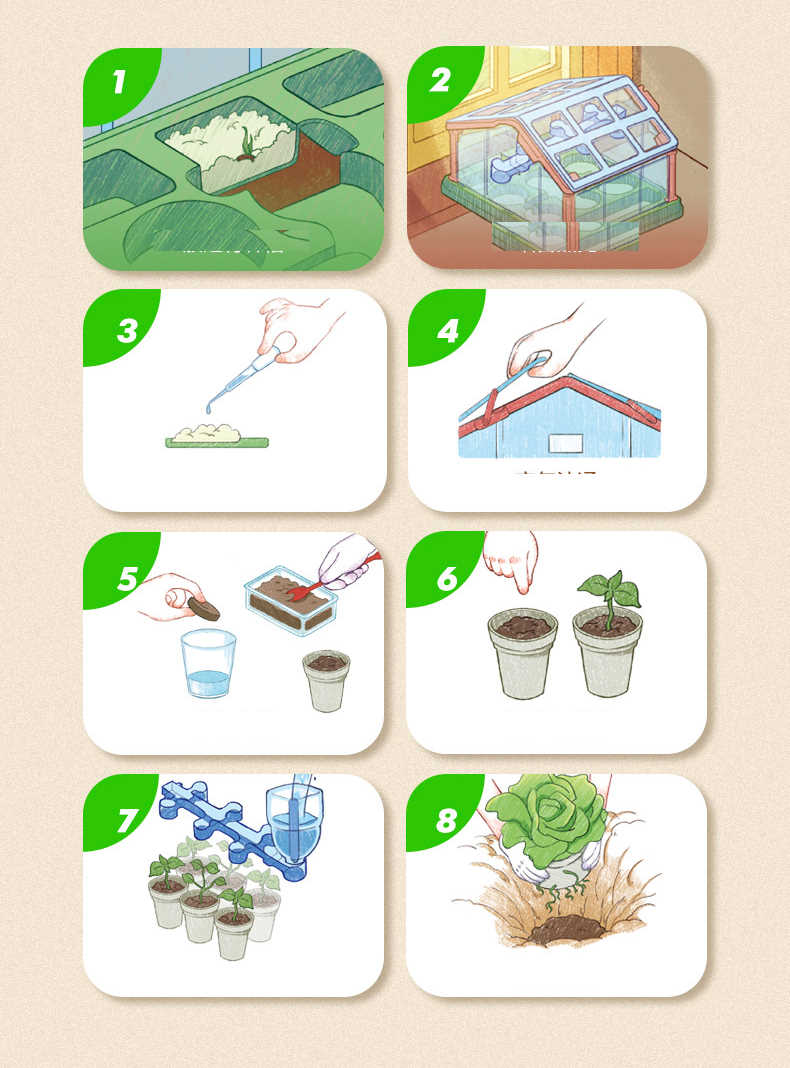 兒童植物陽光觀察屋 - jbh852