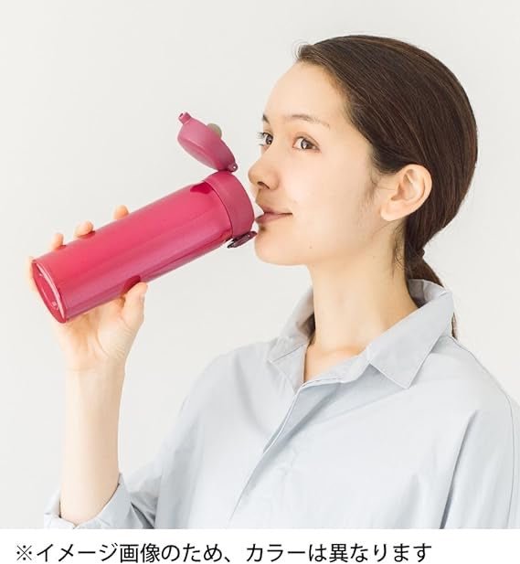 日版膳魔師Thermos 500ml 真空保溫瓶(團購) - jbh852