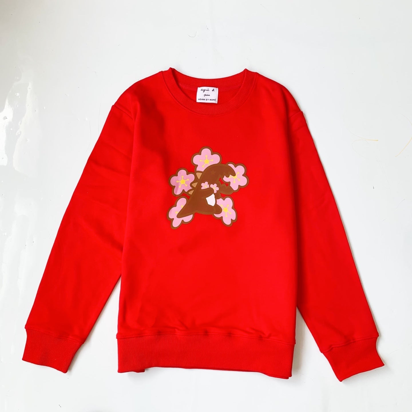 Agnesb x Adam et Rope Dino印花衛衣(團購) - jbh852