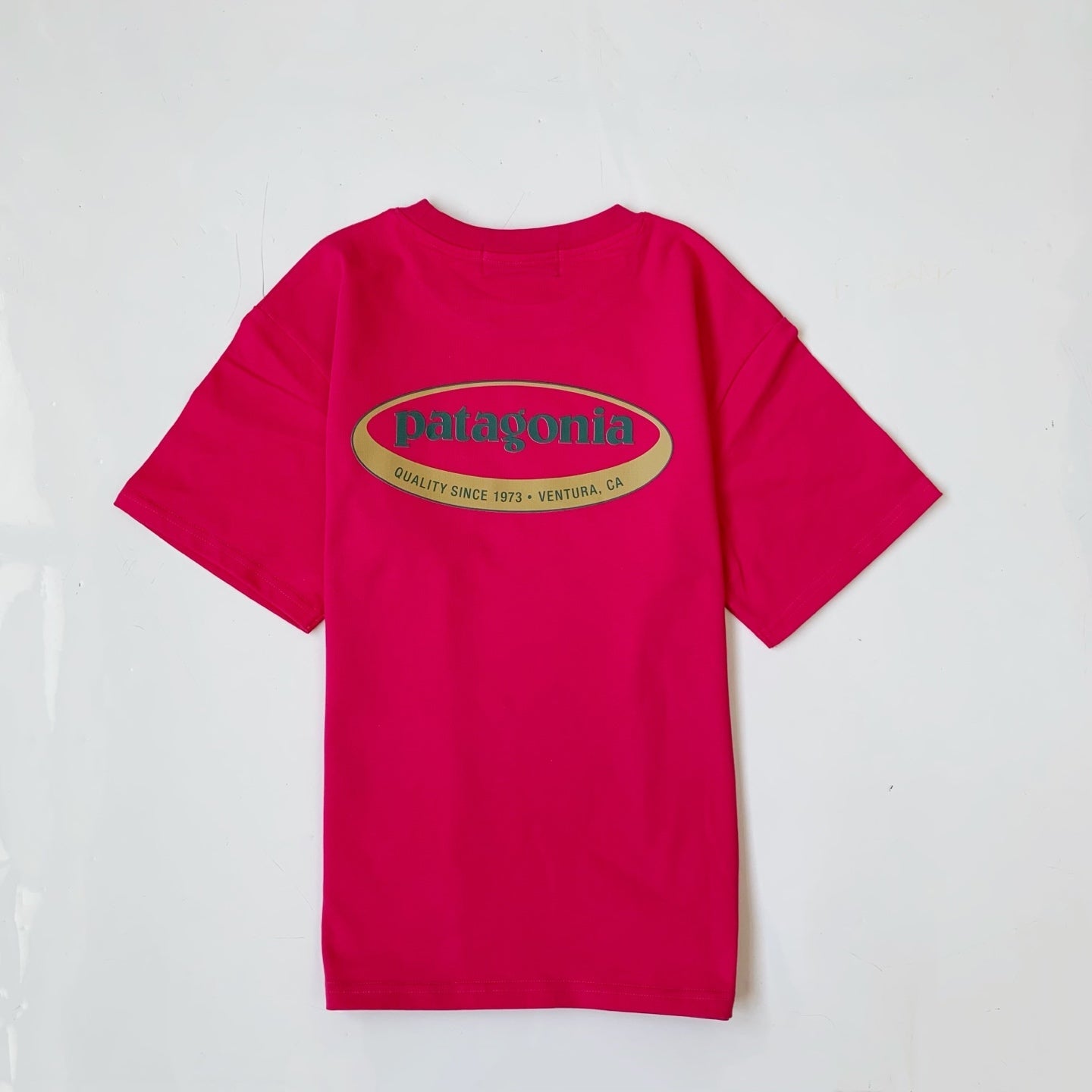 Patagonia 26年新款印花Tee(團購) - jbh852