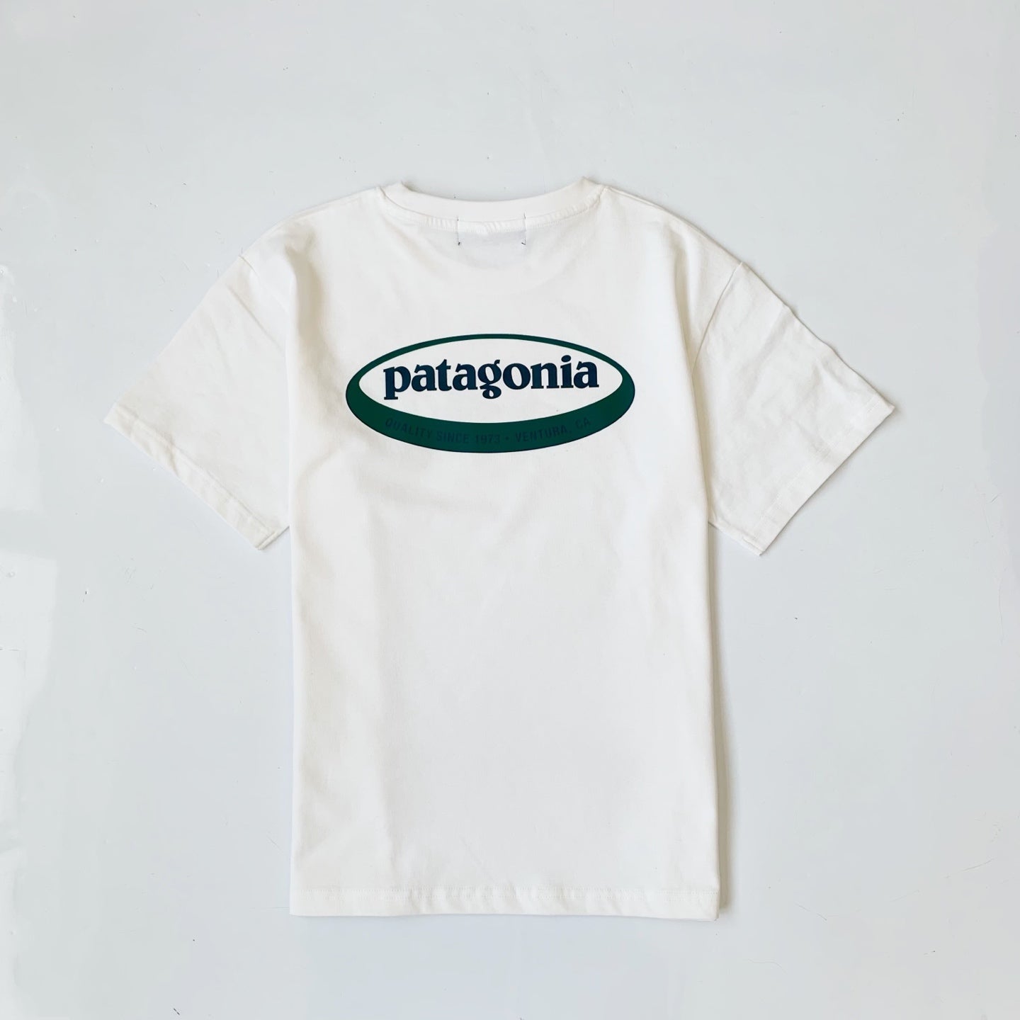Patagonia 26年新款印花Tee(團購) - jbh852