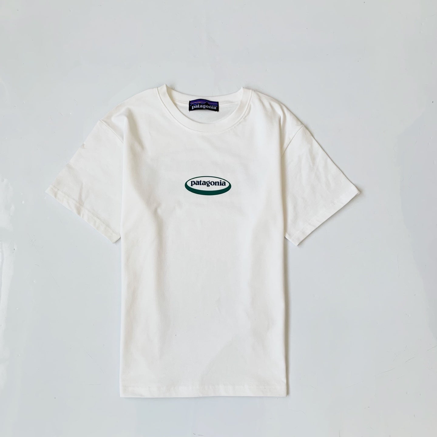 Patagonia 26年新款印花Tee(團購) - jbh852